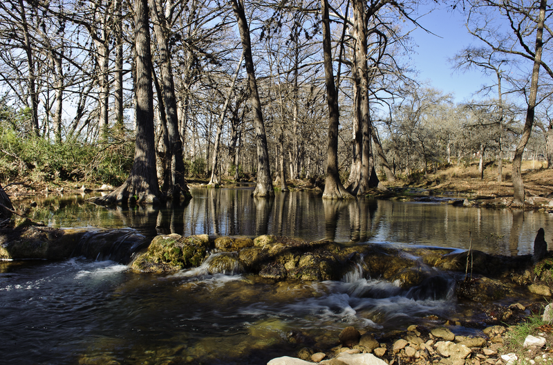 Cypress Creek